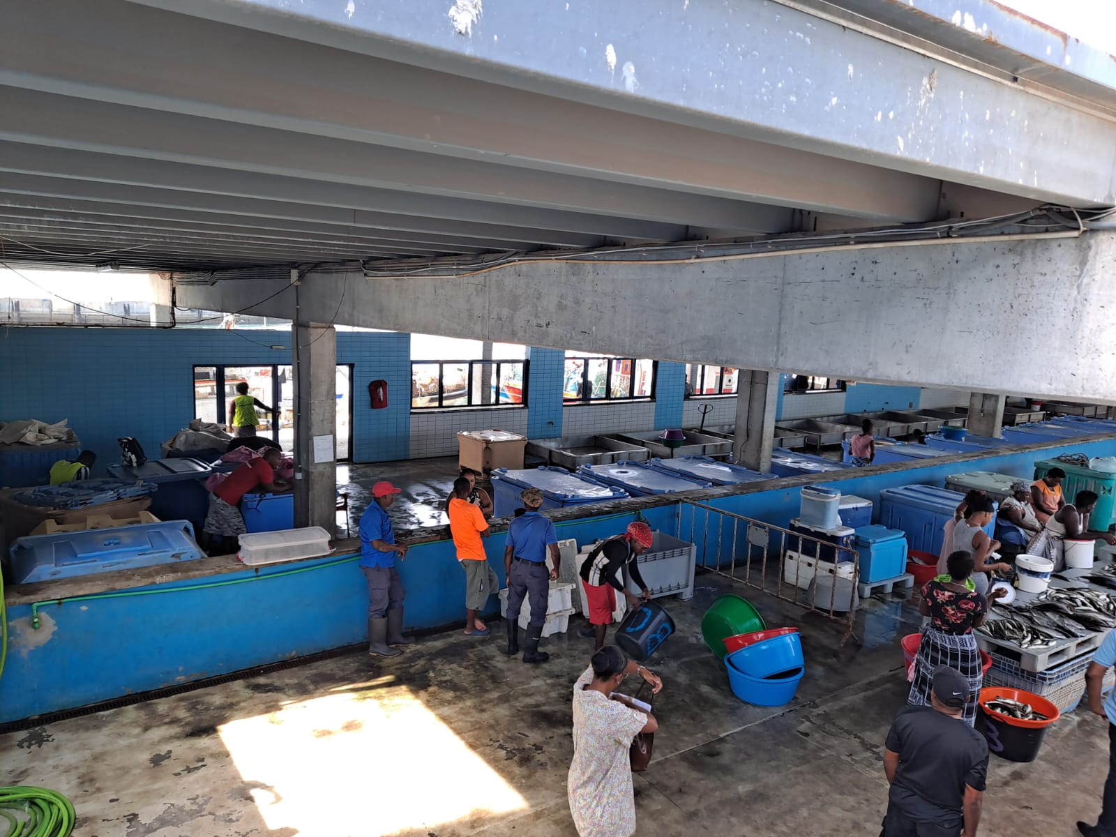 Regulamento geral de funcionamento das lotas